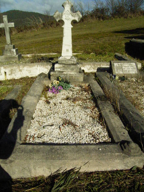 Full-size image