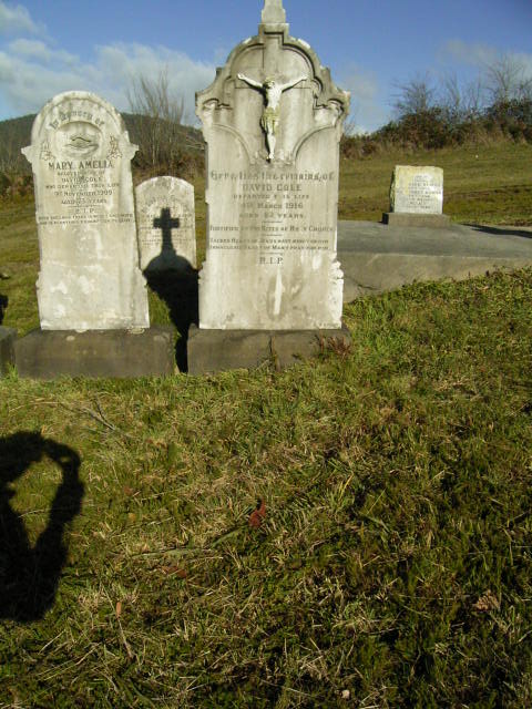 Full-size image