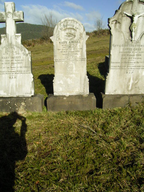 Full-size image