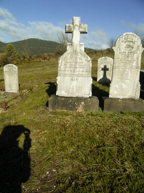 Full-size image
