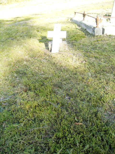 Full-size image