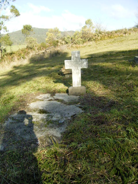 Full-size image