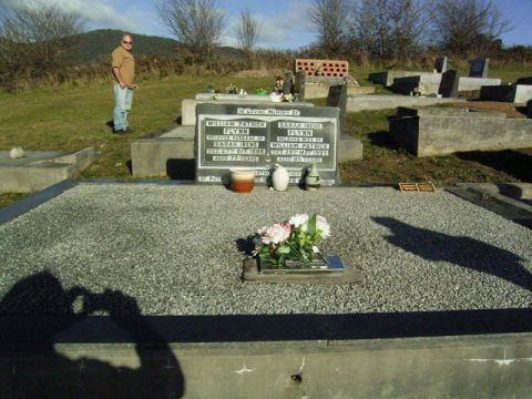 Full-size image