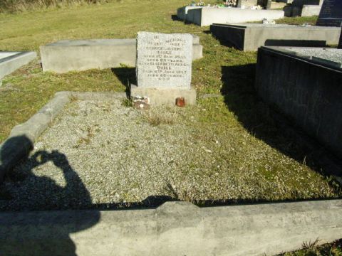 Full-size image