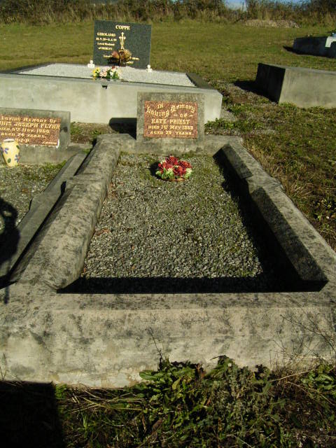 Full-size image