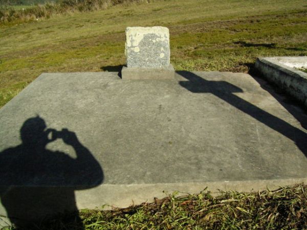 Full-size image