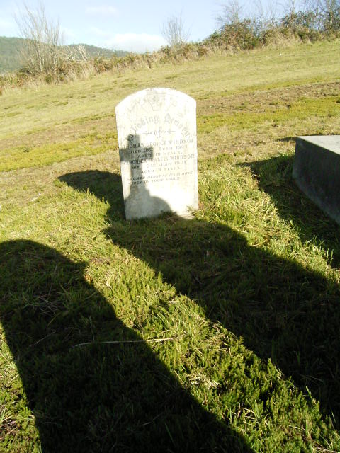 Full-size image