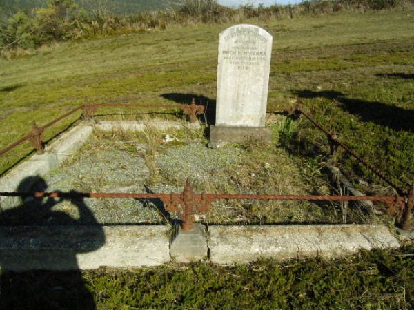 Full-size image