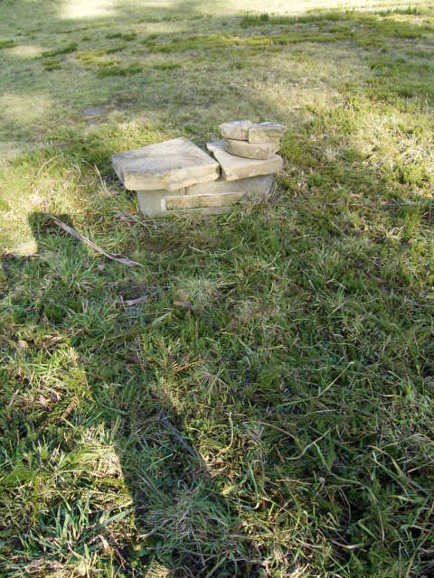 Full-size image