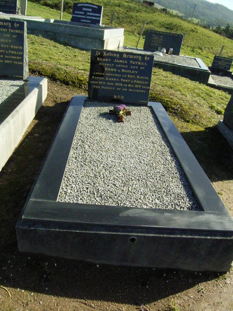 Full-size image