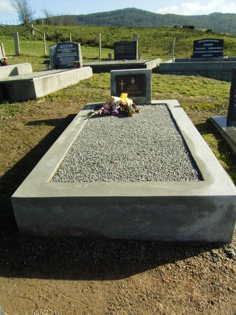 Full-size image