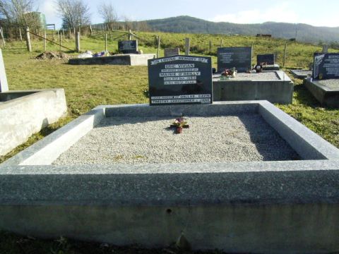 Full-size image