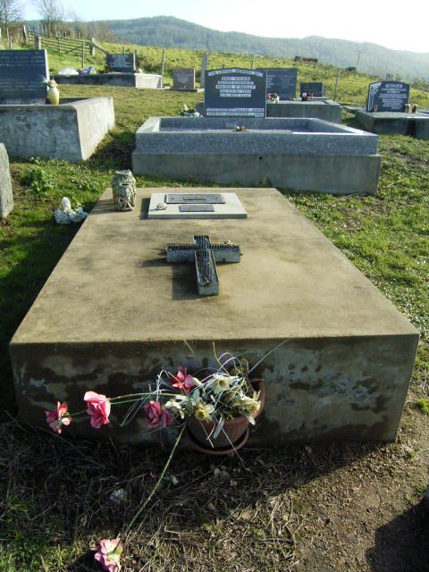 Full-size image