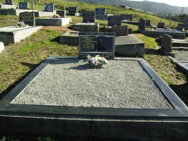 Full-size image