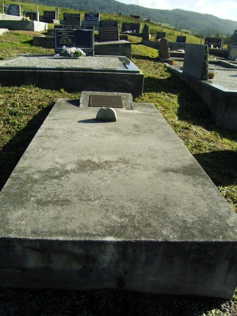 Full-size image