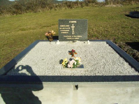 Full-size image