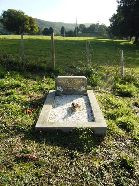 Full-size image