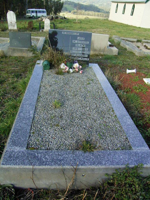 Full-size image