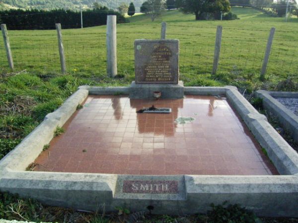 Full-size image