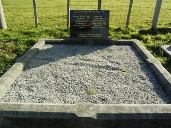 Full-size image