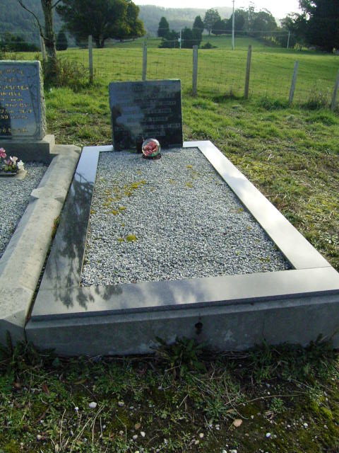 Full-size image