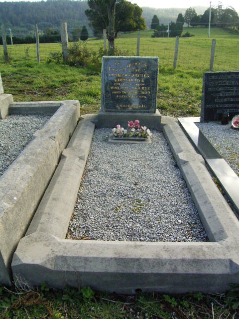 Full-size image