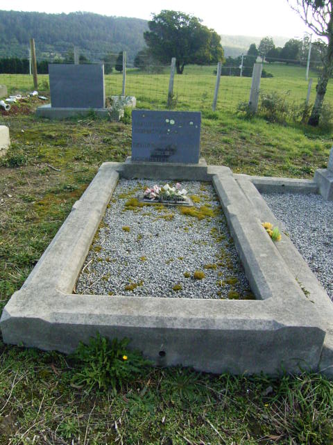 Full-size image