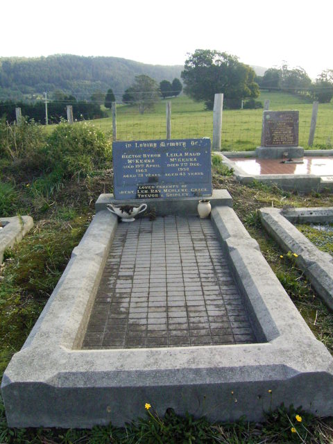 Full-size image