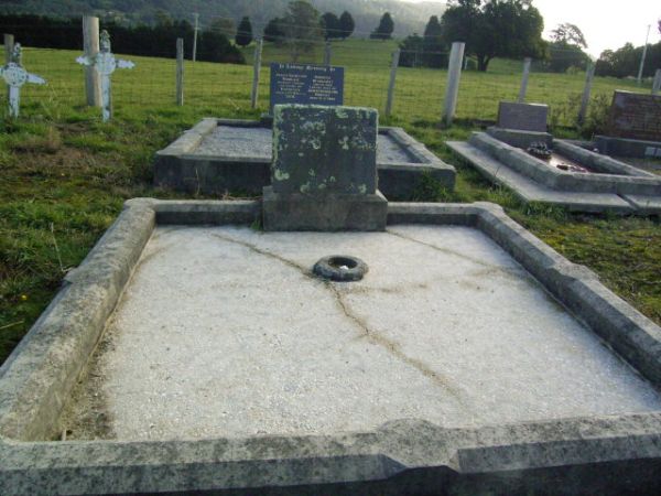 Full-size image