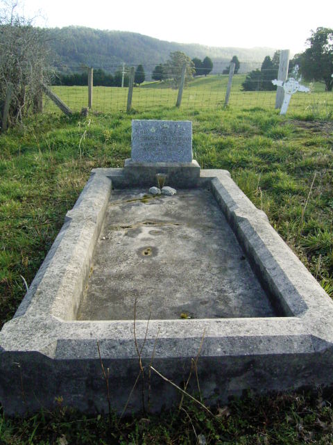 Full-size image