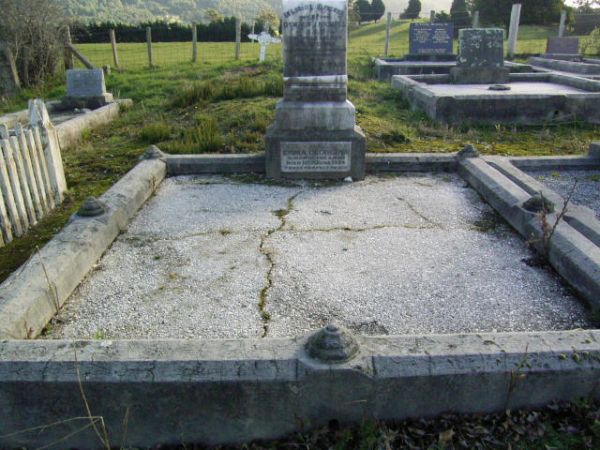 Full-size image
