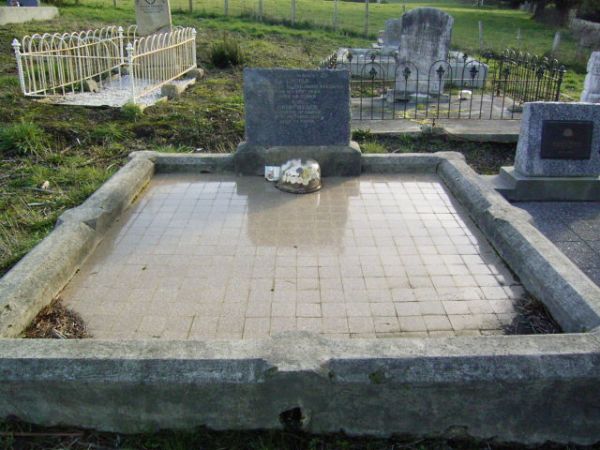 Full-size image