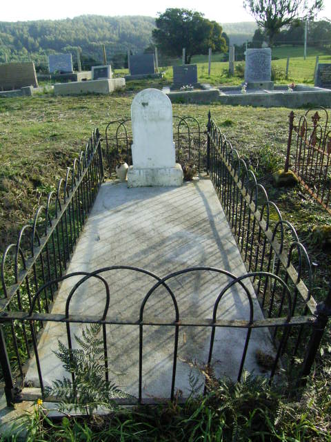 Full-size image