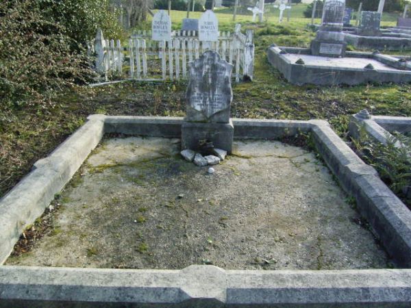 Full-size image