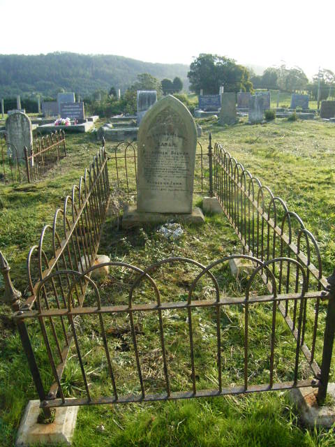 Full-size image