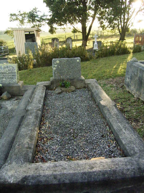 Full-size image