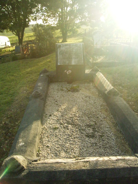 Full-size image