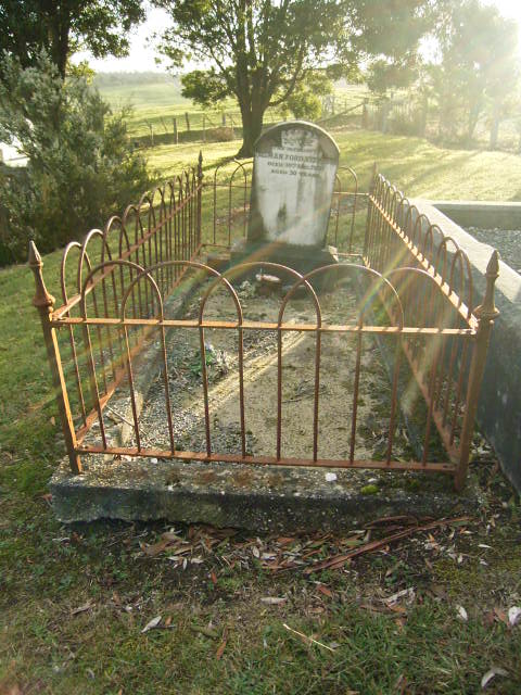 Full-size image