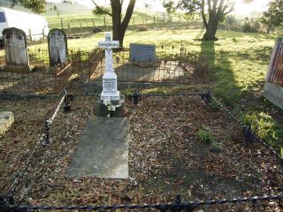 Full-size image