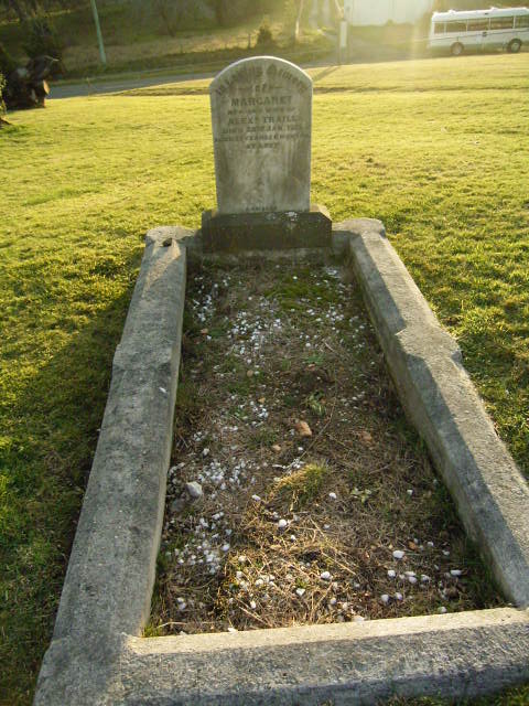 Full-size image
