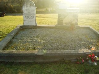 Full-size image