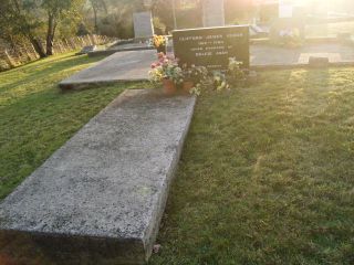 Full-size image