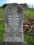Full-size image