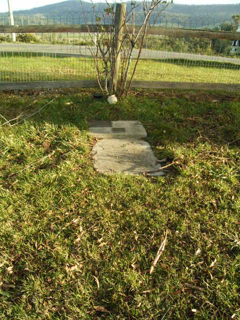 Full-size image