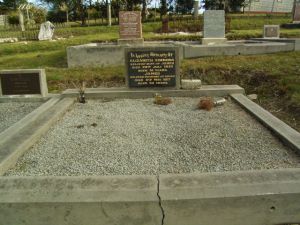 Full-size image