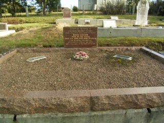 Full-size image
