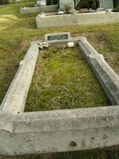 Full-size image