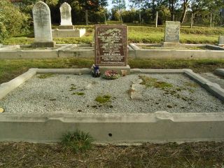 Full-size image