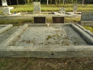Full-size image