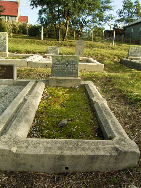 Full-size image